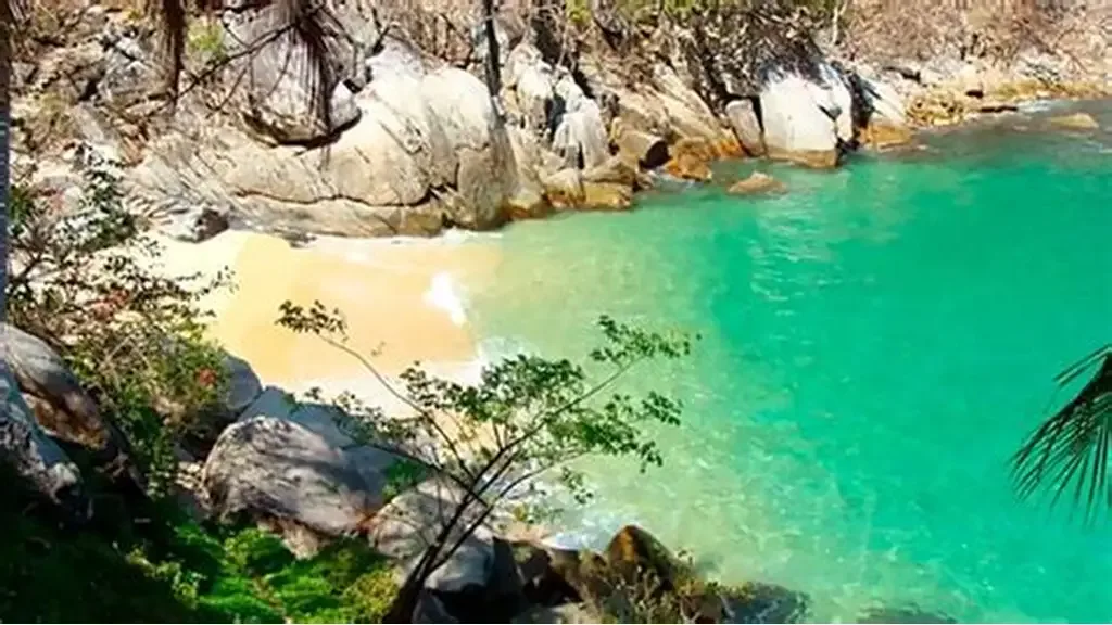 Vista de la hermosa Playa Madagascar, un rincón paradisíaco de aguas cristalinas y arena dorada rodeado de exuberante vegetación tropical.